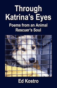 bokomslag Through Katrina's Eyes
