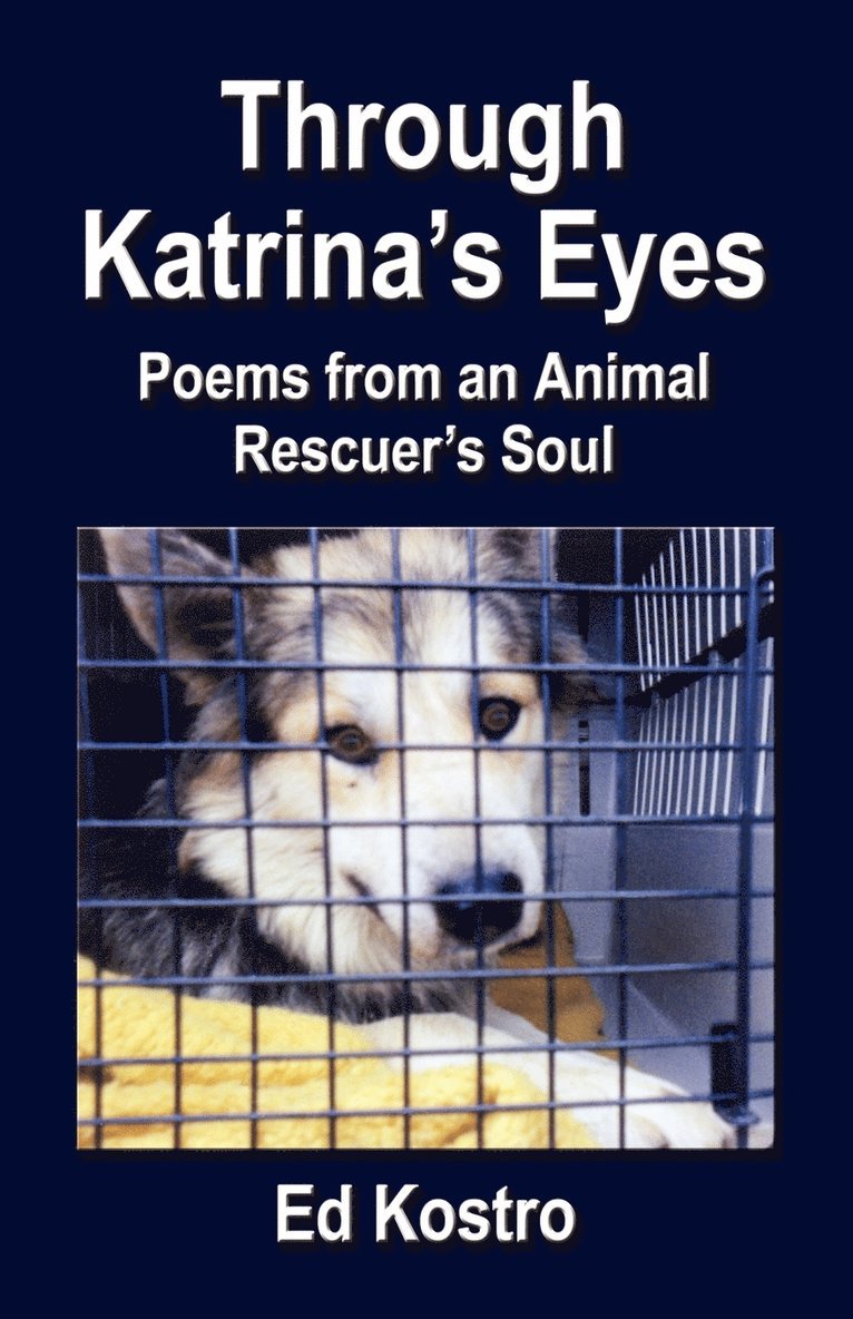 Through Katrina's Eyes 1