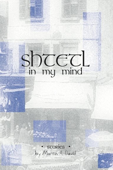 A. David, Martin - Shtetl In My Mind, Häftad
