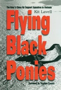 bokomslag Flying Black Ponies