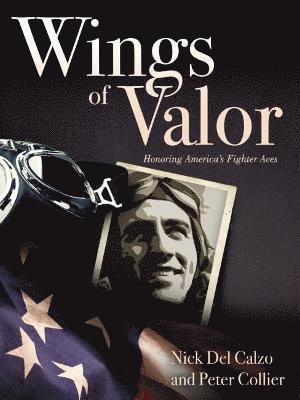 Wings of Valor 1