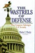 bokomslag The Wastrels of Defense