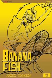 bokomslag Banana Fish, Vol. 3: Volume 3