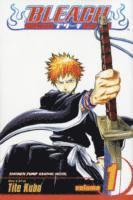 Tite Kubo - Bleach, Vol. 1, Häftad