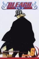 bokomslag Bleach, Vol. 6