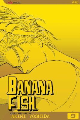 bokomslag Banana Fish, Vol. 9