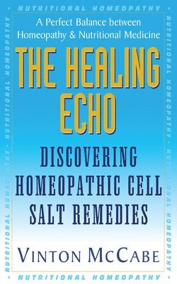 Vinton McCabe - Healing Echo, Häftad