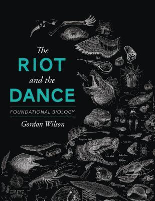 The Riot and the Dance 1
