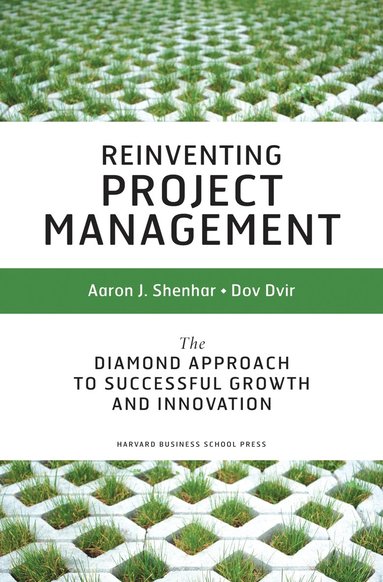 bokomslag Reinventing Project Management