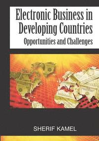 bokomslag Electronic Business in Developing Countries