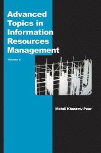 bokomslag Advanced Topics in Information Resources Management, Volume 4