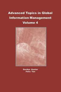 bokomslag Advanced Topics in Global Information Management, Volume 4