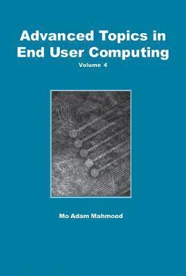bokomslag Advanced Topics in End User Computing, Volume 4
