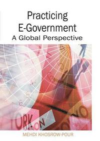 bokomslag Practicing E-Government