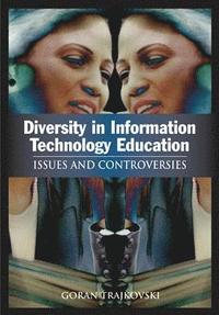 bokomslag Diversity in Information Technology Education