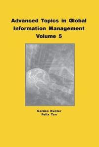 bokomslag Advanced Topics in Global Information Management, Volume 5