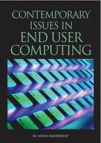 bokomslag Contemporary Issues in End User Computing