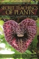 bokomslag The Secret Teachings of Plants