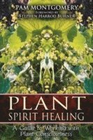 bokomslag Plant Spirit Healing