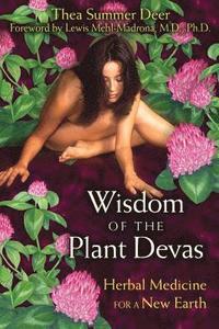 bokomslag Wisdom Of The Plant Devas: Herbal Medicine For A New Earth