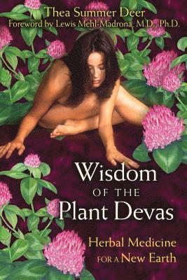 bokomslag Wisdom of the Plant Devas