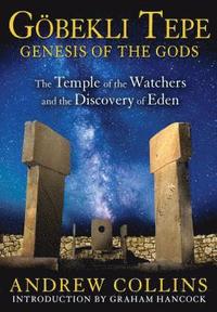 bokomslag Gobekli Tepe: Genesis of the Gods