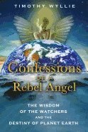 bokomslag Confessions of a Rebel Angel