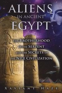 bokomslag Aliens in Ancient Egypt