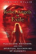 bokomslag Rebel Angels in Exile
