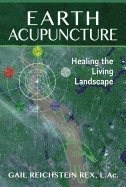 bokomslag Earth Acupuncture