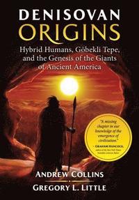 bokomslag Denisovan Origins