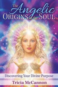 bokomslag The Angelic Origins of the Soul