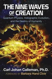 bokomslag The Nine Waves of Creation