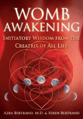 bokomslag Womb Awakening