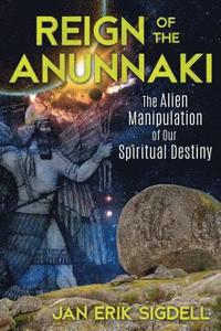 bokomslag Reign of the Anunnaki