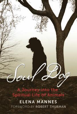 bokomslag Soul Dog