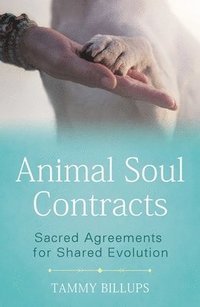 bokomslag Animal Soul Contracts