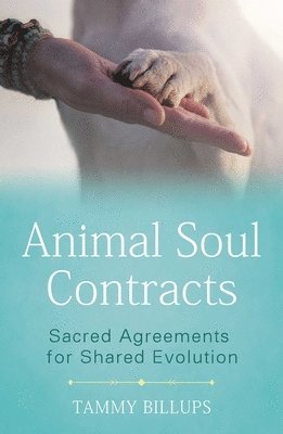 Animal Soul Contracts 1