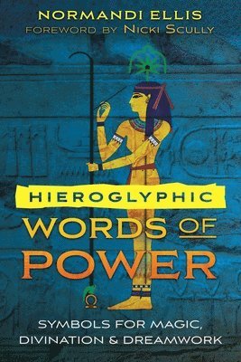 bokomslag Hieroglyphic Words of Power