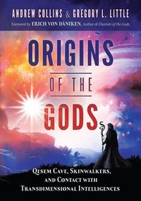 bokomslag Origins of the Gods