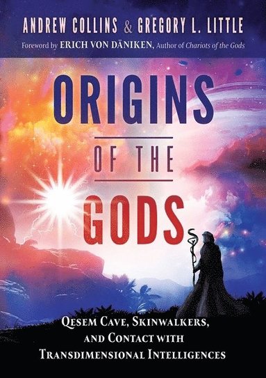 bokomslag Origins of the Gods