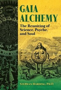 bokomslag Gaia Alchemy