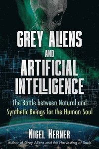 bokomslag Grey Aliens and Artificial Intelligence