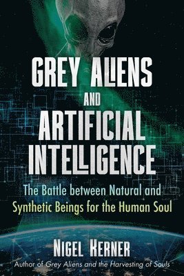 bokomslag Grey Aliens and Artificial Intelligence