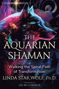 bokomslag The Aquarian Shaman