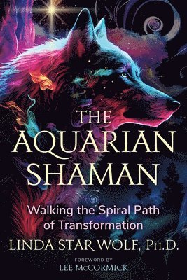 bokomslag Aquarian Shaman