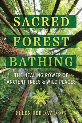 bokomslag Sacred Forest Bathing