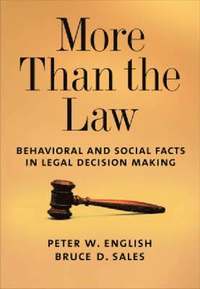 bokomslag More Than the Law