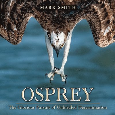 Osprey: The Glorious Pursuit of Unbridled Determination 1