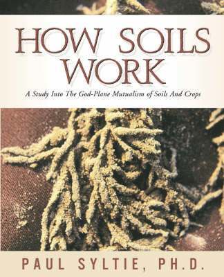 bokomslag How Soils Work